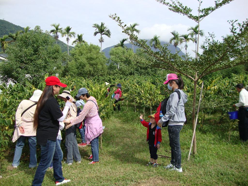 Taroko Sialin Coffee Farm Homestay Xiulin Exterior photo