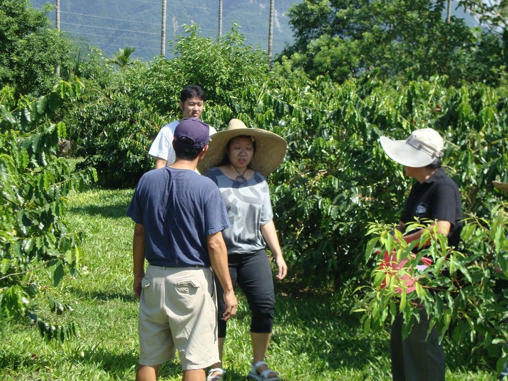 Taroko Sialin Coffee Farm Homestay Xiulin Exterior photo
